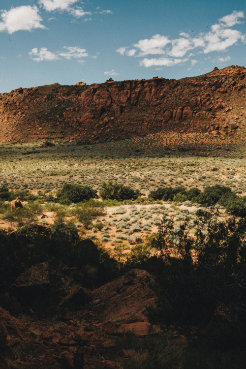 julianajohnsonphoto: Snow Canyon State Park, UtahAugust 2017