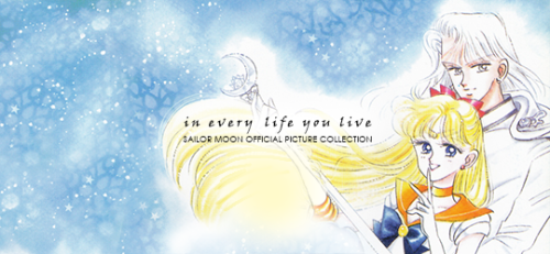 venusmelody: get to know me meme | [2/5] relationships →  sailor venus & kunzite (sailor moon)