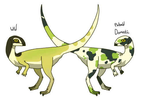  The principal dinosaurs of the plains, whether hunted and domesticated by halflings since time imme