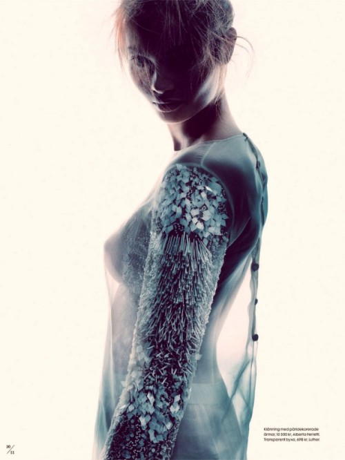 Beauty is in the Eye of the Beholder &  She’s so Transparently Beautiful
