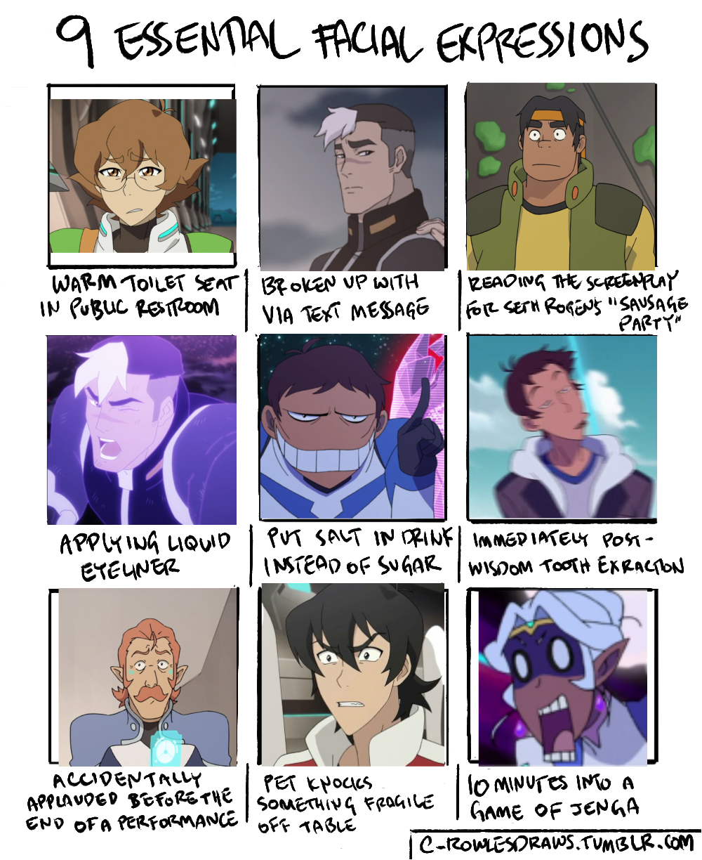 shiros-eyes:  The Voltron Crew Facial Expressionsbased on this post