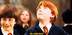 Where Magic Begins