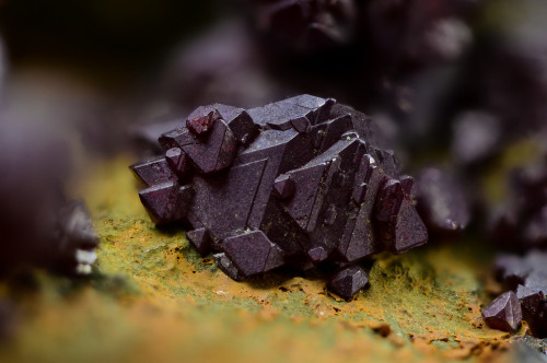 underthescopemin:  Cuprite