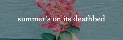 brendonsurie:the calendar // panic! at the disco