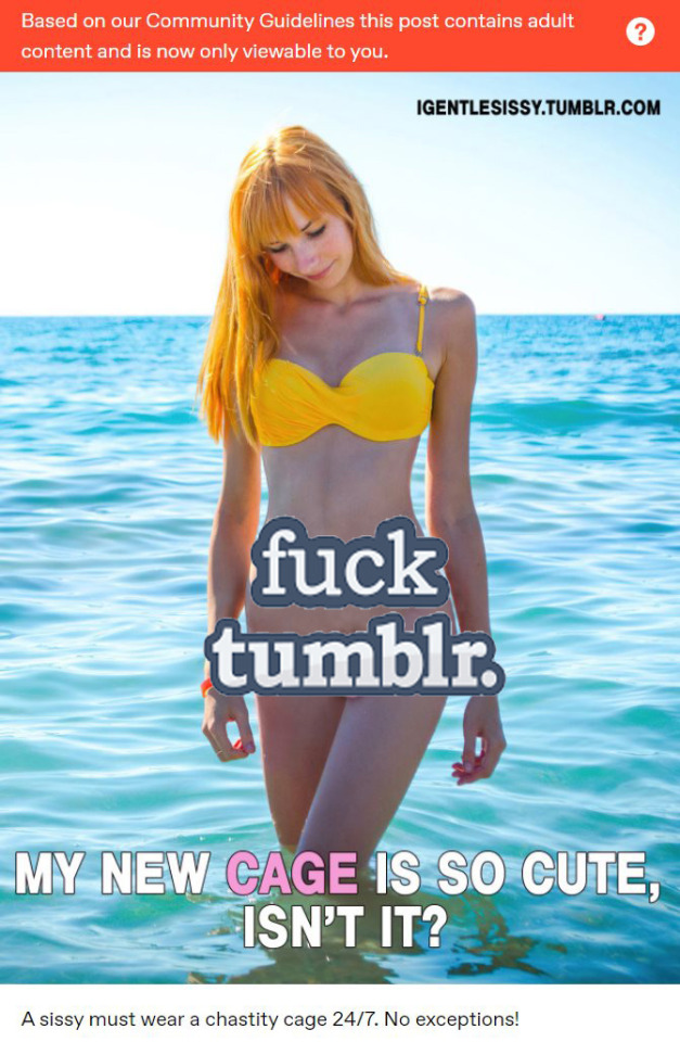 Tumblr media