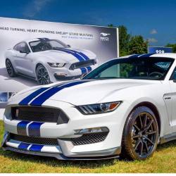 musclefords:  @igfords #ford#Mustang#SVT check out  @AMM_Shirts tag-&gt; #american_muscle_mustangs / @stolquest / on a side note I just noticed the Shelby GT350’s don’t have the Cobra emblem’s on the side fenders.. Hmm don’t know how I feel about