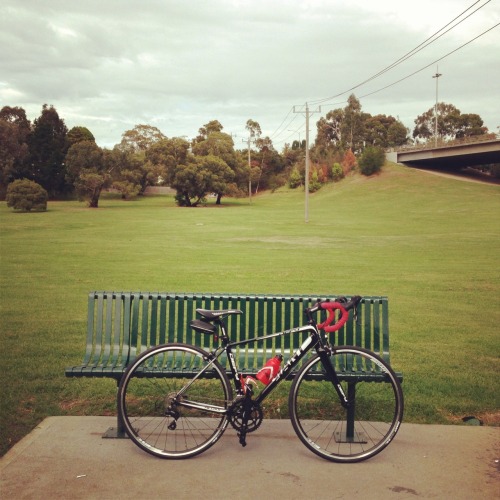 amyrunning: Back on my ‘big girl’ bike today. Both terrifying and exhilarating.