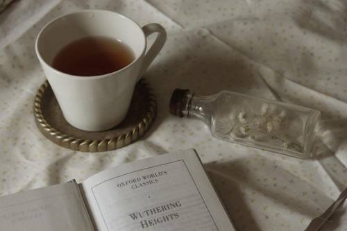 witheredfern:July 2, 2016 a bottle of dandelion wishes and gypsophila and a cup of my brothers herba