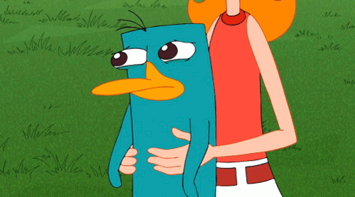 perry the platypus gif perry the platypus gif