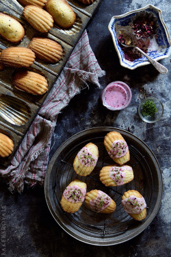 foodopia:  Lime and Hibiscus Madeleines 