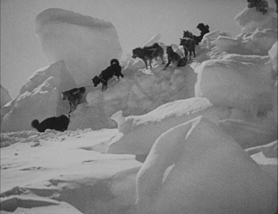 Nanook of the North (Robert J. Flaherty, 1922)