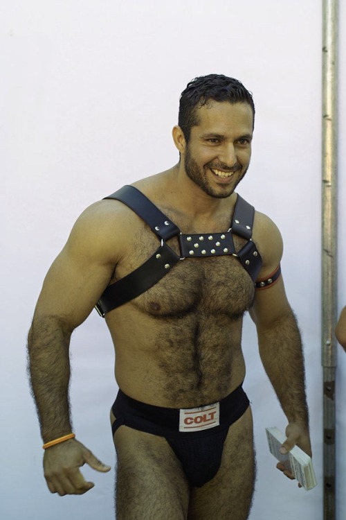 Porn photo Men In Harness