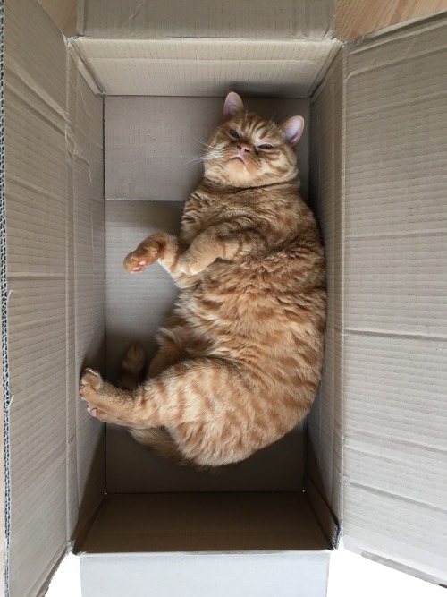 edgarandminka:I really like to play with straws…