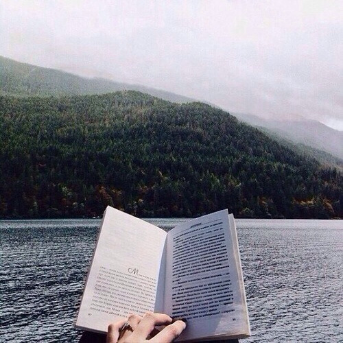 upclosefromafar:  ☼⊱☯~ℕirvana~☯⊰☼