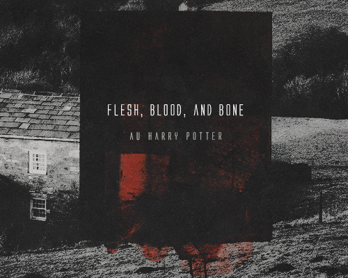 Flesh Blood Bone