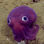eighthugsfromanoctopus