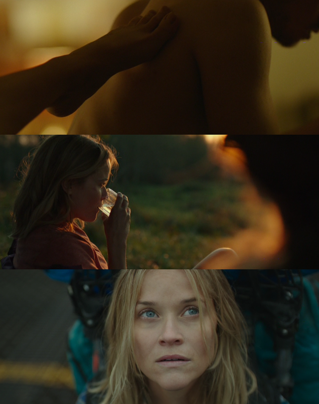 movietography:  WildDirector - Jean-Marc ValléeCinematographer - Yves Bélanger