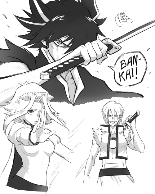 5DS But In The World Of Bleach?