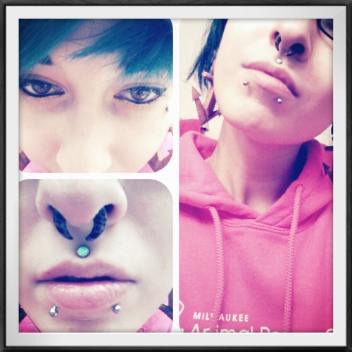 Name: Gabrielle aka Gabby.
Age: 21-years-old.
City: Milwaukee.
Piercings shown: 2 labret (snakebites), philtrum, 2g septum, 0g lives and two surface anchors on either side of my face.
Piercings not shown: nipples, clitoris (christina).
Retired...