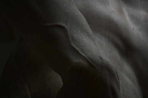 qusarts:Four Meters of PerfectionMichelangelo’s David at the School of Belle Arti Museum in Florence