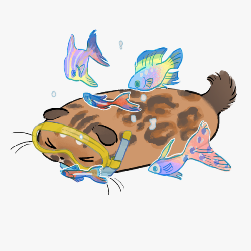 SMALL FELINE
