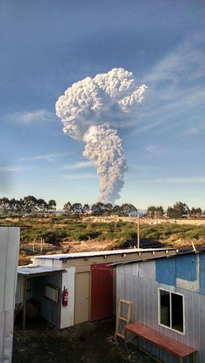 revistanarujodo:  Calbuco’s Volcano eruption 22 abril 2015 , Chile