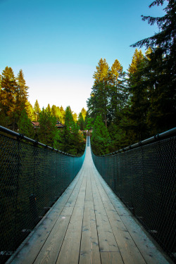 touchdisky:  Capilano Suspension Bridge, Vancouver, Canada by Raed Al-Banna       