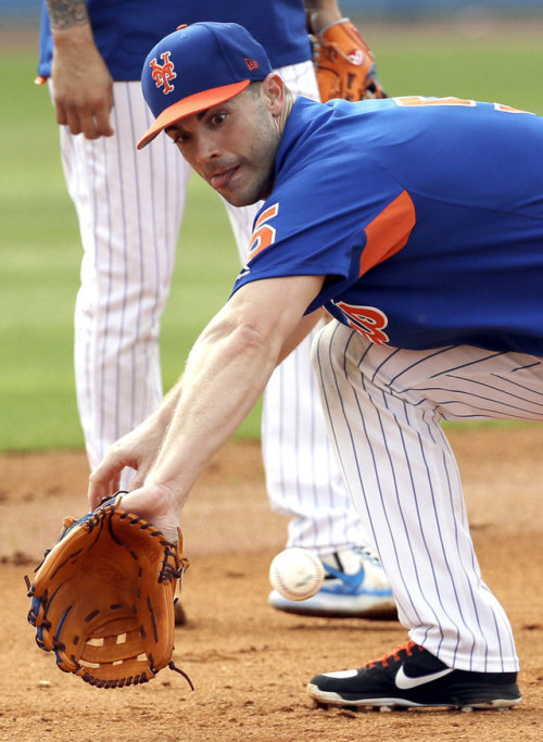 Porn Pics david-wright:Scenes from Spring Training: