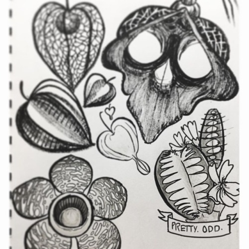 Repost of some freaky flora I did a while back, with new addition, Venus fly trap ✨ &mdash;- #il