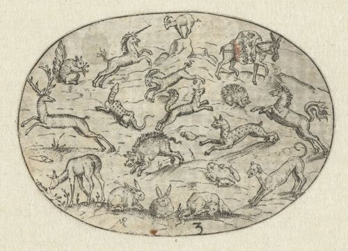 mysterious-secret-garden:Martin Pleginck, after anonymous - Oval with eighteen animals, 1594.