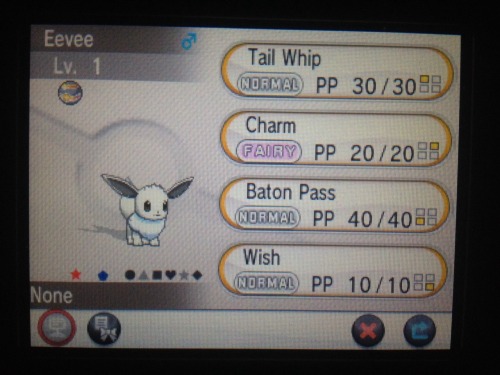 pokemonresource: PokemonResource’s Shiny Giveaway I recently hatched these two beautiful Pokem