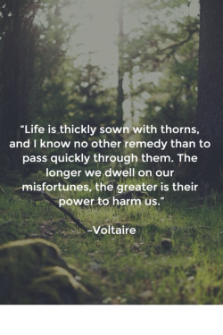 Awesome Quotes