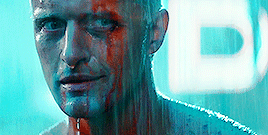 darlingbuck:  Blade Runner (1982)    I’ve seen things you people wouldn’t believe…