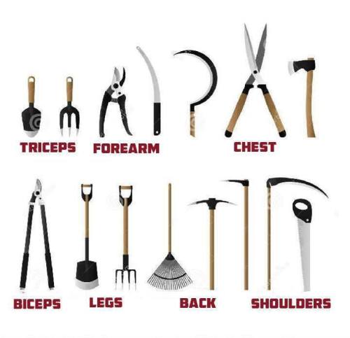 hqcreations:  paintedgoat:  natureisthegreatestartist:  Who needs a gym when you’ve got gardening?  This is more truth than I’ve seen in a while. Oh my aching body.  Gardeners of Tumblr…we should seriously come together and make an exercise video