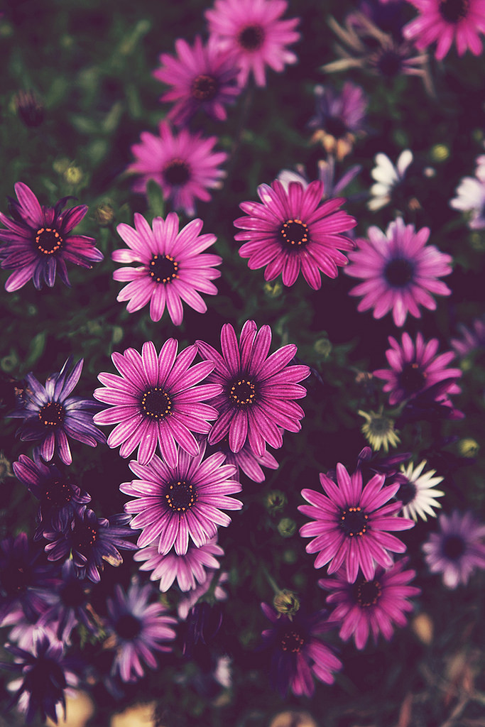 desparate:  (by Valerie Manne)