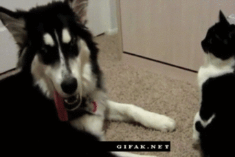 the-only-true-queen:  Don’t touch me Biatch! 