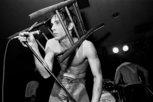 gothtriggers - rimbaudwasademonchild - Iggy Pop, photographed by...