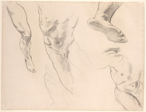 Figure Studies of a Nude YouthJohn Singer Sargent (American; 1856–1925)undatedBlack chalk on laid pa