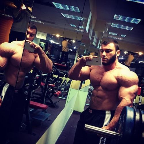 Dan Cristian