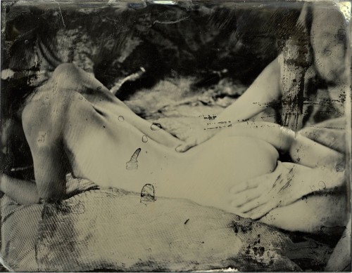 camdamage:  cam damage (+ cuttlefish) | by Brooke LabrieThese are one-of-a-kind collodion wetplate images produced on a 3.5x4.5″ sheet of tin; also called a tintype.  Varnished for protection & longevity.  These images were exposed on used plates,