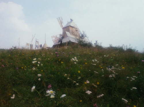 valerieandherweekofwonderz:Perinbaba / The Feather Fairy (1985) dir. by Juraj Jakubisko.