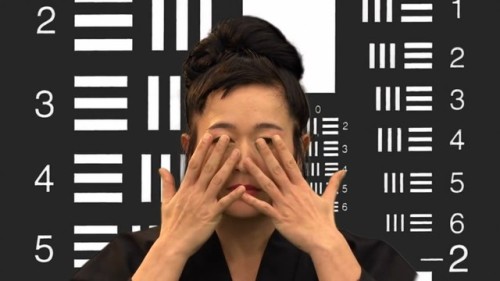 How Not to Be Seen: A Fucking Didactic Educational .MOV File, dir. Hito Steyerl (2013)