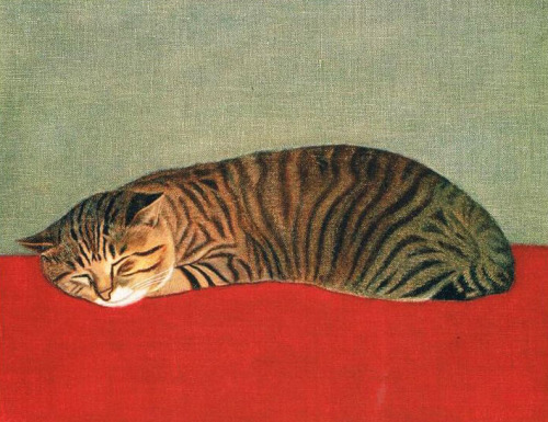 blackcoffeecinnamon: Hasegawa Rinjirou (1904-1988)　 長谷川 潾二郎 Cat 　猫、1966