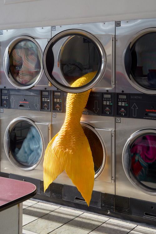 itscolossal:  Mysterious Mermaid Tails Lodged in Laundromat Machines by Olivia Erlanger