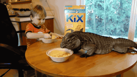 no-giraffes:hope u enjoyed ur breakfast @lizardwinemom