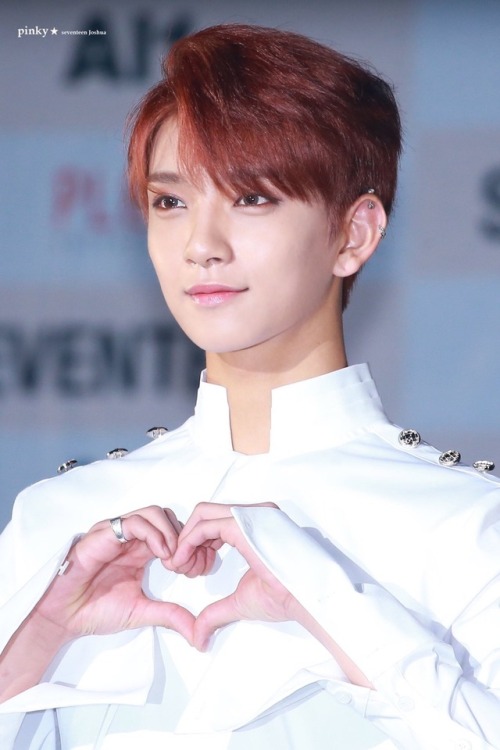 ohmyjisoo: he looks like an angel © pinky
