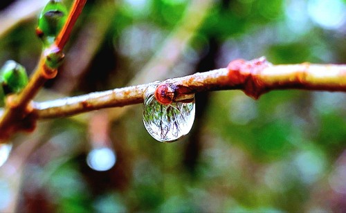 My Photography