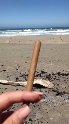 highscout:  My blunt and the Ocean 