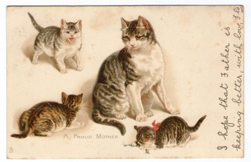 A proud mother -chromolithographed postcard from 1903 printed in Germany 