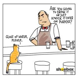 officialshoebox:  So a cat walks into a bar… 